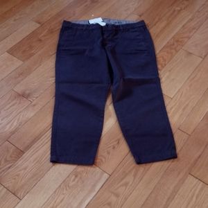 JCrew Scout Capri Pants-Fun with Sandals or Flats.